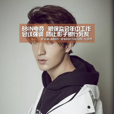 BBIN电竞-银保监会年中工作会议强调 防止影子银行死灰复燃(图4) BBIN篮球
