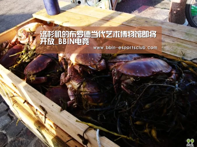 洛杉矶的布罗德当代艺术博物馆即将开放_BBIN电竞(图2) BBIN篮球