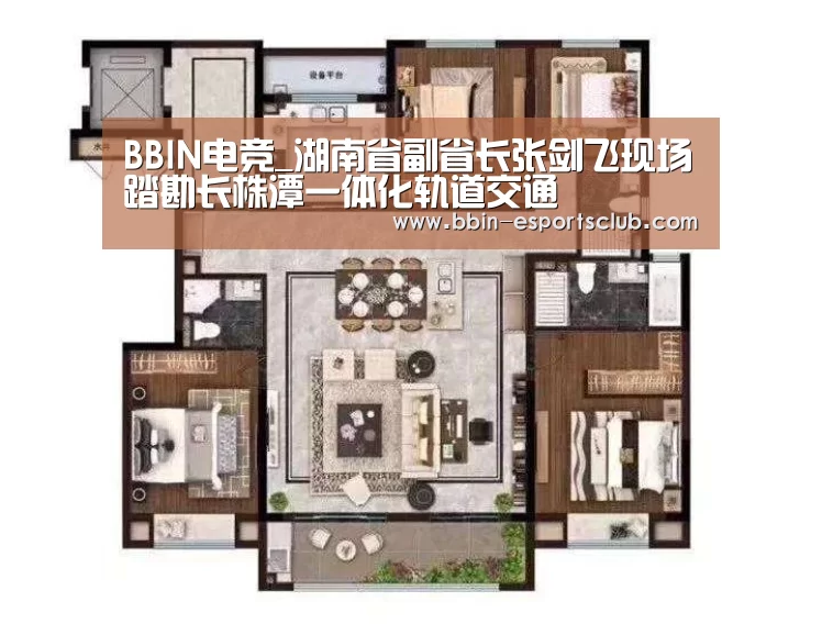 BBIN电竞_湖南省副省长张剑飞现场踏勘长株潭一体化轨道交通(图2) BBIN篮球