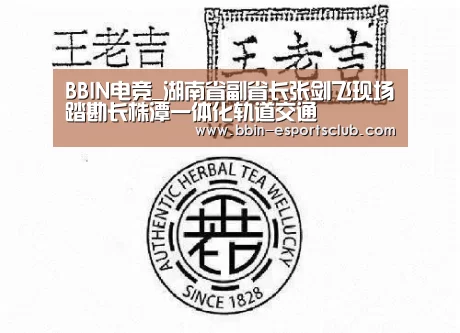 BBIN电竞_湖南省副省长张剑飞现场踏勘长株潭一体化轨道交通(图1) BBIN电竞